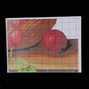 Stamped Cross Stitch Kit - Assorted Fruits 108x71cm / 42.5x27.9inch