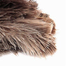 Ostrich Cleaning Feather Duster Ostrich Duster Ostrich Feather Duster Soft