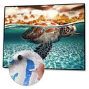 Painting By Numbers Kit DIY Sea Turtle Hand Painted Canvas Oil Art Picture A