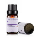 6 Kinds 10Ml Essential Oils Aromatherapy Oil For Aroma Diffuser Humidifier