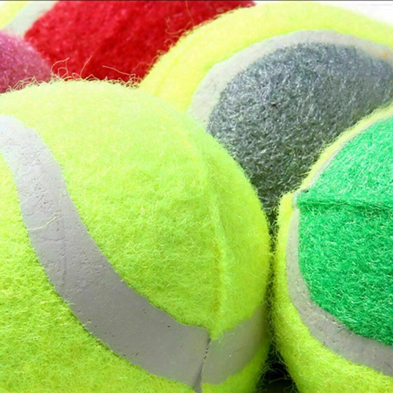 Tennis Ball Sports Tournament Outdoor Fun Cricket Beach Dog Game Gift
