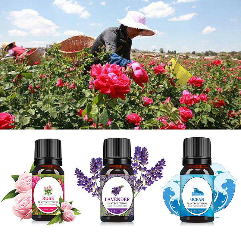 3 Bottles 10ml Essential Oil 100% Pure & Natural Auto Car Aromatherapy Diffuser