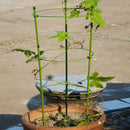Vine Climbing Rack 60cm Flower Plant Trellis Plant Support Frame Garden Tool_^i