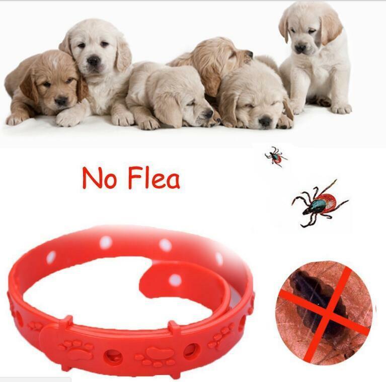 Pet Safety Collar Large Dog Anti Flea Tick Mosquito Elimination Plastic