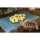 2Pcs Turtle Reptile Rock Food Dish Plate Grinding The Nail Tortoise Feeding Bowl