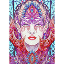 5D DIY Special Shaped Diamond Painting Beauty Embroidery Mosaic Kit (D1088)
