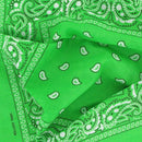 Set of 3 bandanas Paisley Man and Woman 57 x 57 cm Dark green + light green