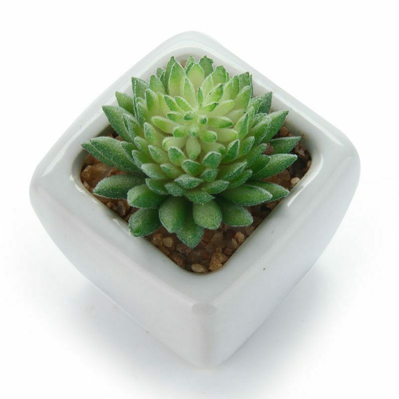 4Pcs/Set Artificial Succulent Plants + White Square Ceramic Pots succulent  F4F8