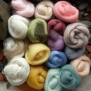17 Colors Fibre Wool Roving For Needle Felting Spinning DIY Craft Material