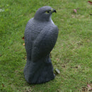 Realistic Eagle Hawk Hunting Decoyl Bird Pigeon Scarer FOR Outdoor Garden Decor.
