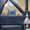 Animals Black Cat Fence Peeker Topper Yard Hangers  Garden Window Outdoor