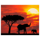 Elephant DIY Round Diamond Painting Embroidery Kits Cross Stitch Home Decor