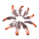 50pcs/set pheasant feathers 4-8cm chicken plumes for carnival diy craft de BX