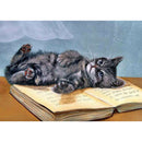Animal DIY Diamond Painting 5D Full Round Drill Embroidery Craft (Cat-t395)