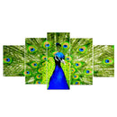5pcs Unframed Modern Art Oil Painting Peacock Huge Wall Art Poster Decor PVC