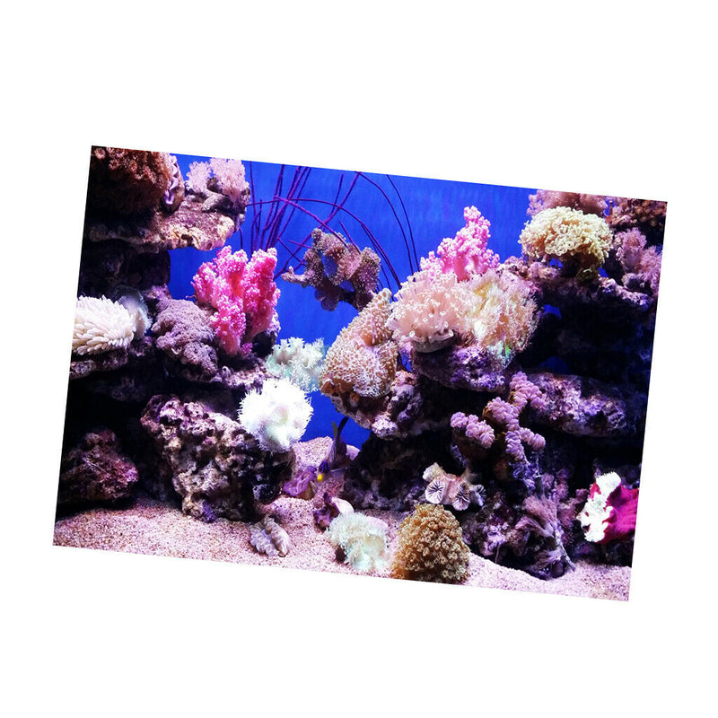 Vivid Aquarium Undersea Background, Non-toxic Adhesive Poster Fish Tank Decor