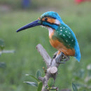 3pcs Realistic Kingfisher Birds Ornament Garden Sculpture Lawn Ornaments