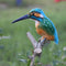 3pcs Realistic Kingfisher Birds Ornament Garden Sculpture Lawn Ornaments