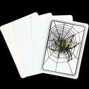 Spider  Close-Up Pocket Street Halloween Tricky X7I5 P8A2