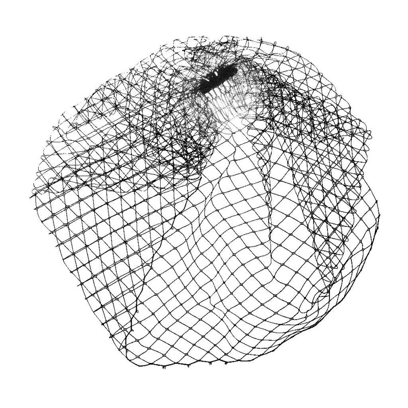Black Charming Wedding Veil Bridal Birdcage Veils Net Fascinator with Comb
