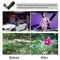 Universal 8x Zoom HD Clip-on Camera Lens Telescope Telephoto for Mobile Phone