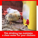 10Pack Horizontal Chicken Nipples Waterer Horizontal Chicken Waterers