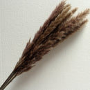 30Pcs Natural Dried Pampas Grass Reed Flower Home Wedding Bunch Bouquet Decor #