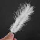 100pcs Fluffy Marabou Feathers Party Wedding Trim Trimming Decor DIY 8-15