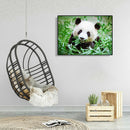 5D DIY Full Drill Diamond Painting Panda Eating Bamboo Cross Stitch Craft A