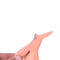 Carnival Halloween Holiday & Wicked Witch Nose Halloween Costume Accessory OZ