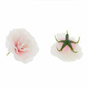 50 pcs Artificial Silk Roses Flower Head Flower Head Wedding Party Decor Bu