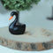 Mini Landscape Moss Ornament Cartoon Small Ornaments Black Swan