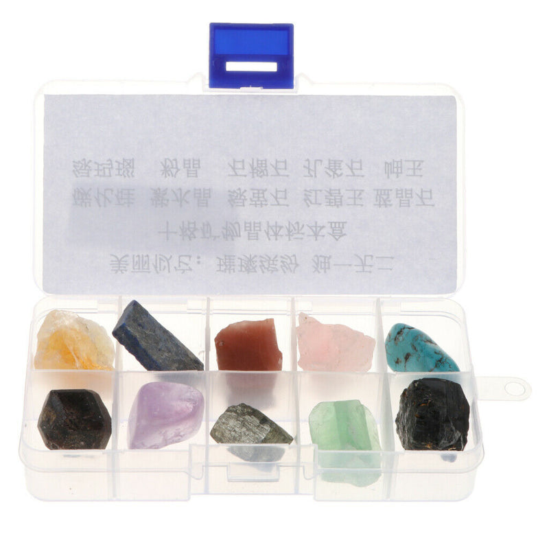 10pcs/box Rock and Mineral Collection Kit -Amethyst, Green Fluorite, Red Jasper,