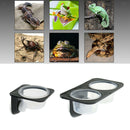 4Pcs Reptile Food Water Feeding Bowl Feeder with Suction Cup Double & Single