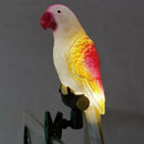 Solar Power LED Light Bird Parrot Lamp With Clip Night Lights Garden Outdoor