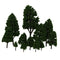 24x Light/Dark Green Poplar Trees 2.5-16cm Train Rainway Layout Park Scene