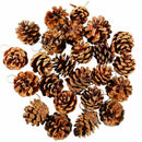 24 Pieces Pine Cones Ornament Natural PineCones With String Pendant Crafts  A6E7