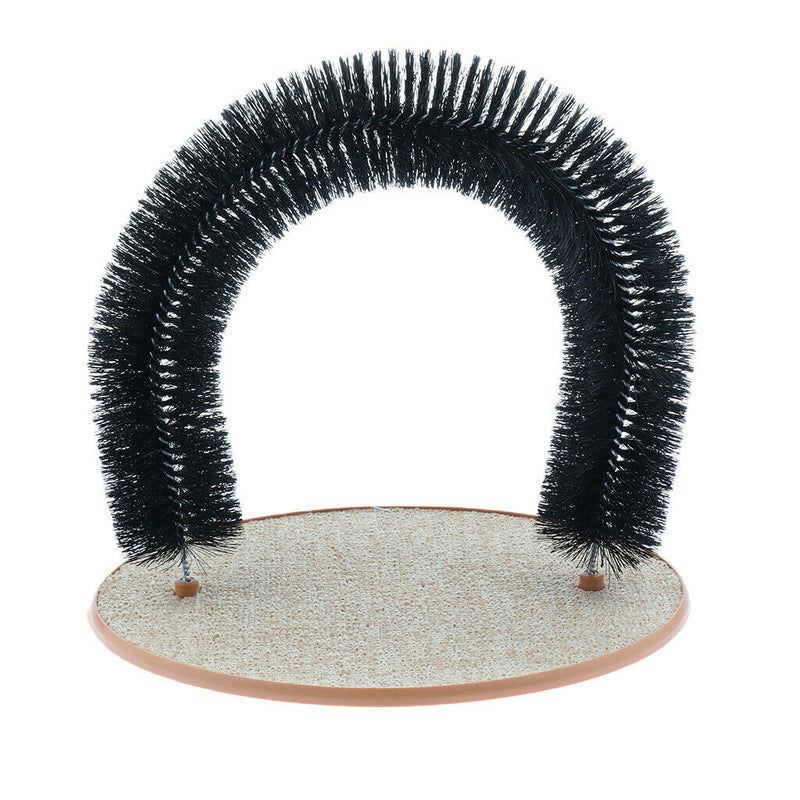 Gentle Fur Brushing for Cat Kitten Playing And Scratching