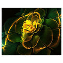 5D DIY Full Drill Diamond Painting Fancy Flower Cross Stitch Embroidery (5)