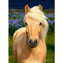 5D DIY Full Drill Diamond Painting Horse Embroidery Mosaic Craft Kit (w574)
