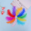 50pcs/set turkey feathers 10-15cm chicken plumes for carnival diy craft decor BX