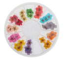 12 Colors Real Dry Nail Flower Art Decoration Manicure Nails DIY Stickers