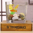 Square Transparent Glass Bowl Clear Vase Fish Turtle Tank Jar Wedding Decor