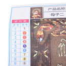 Rhinestones Diamond Embroidery Religion Diamond Paiing Diamond Mosaic ResinOZ