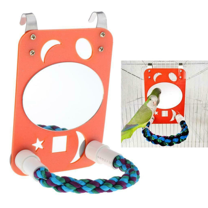 Parrot Large Mirror with Rope Perch Swing Toys for Greys Budgies Cockatoo