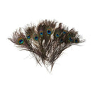 20 pcs Artificial peacock feathers w / Eyes F6F8