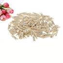 100Pcs Mini DIY Wooden Clothes Photo Paper Pegs Clothespin Cards Craft Clips  FT