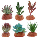 6PCS Aquarium Fish Tank Plants Succulents Reptile Hideaway Decoration - Reptile