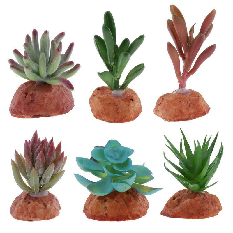 6PCS Aquarium Fish Tank Plants Succulents Reptile Hideaway Decoration - Reptile