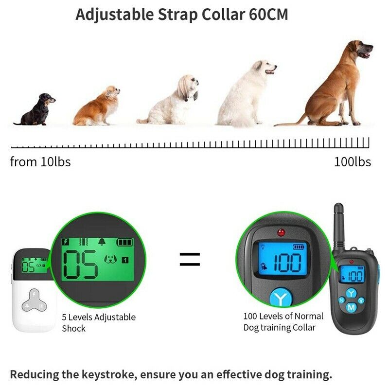 Shock Collar for Dogs Dog Training Collar with Remote Remote Control Mini D